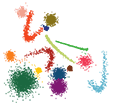 Complexity